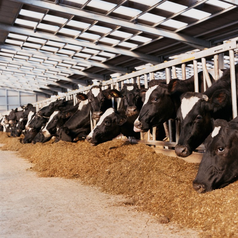 Agrodays